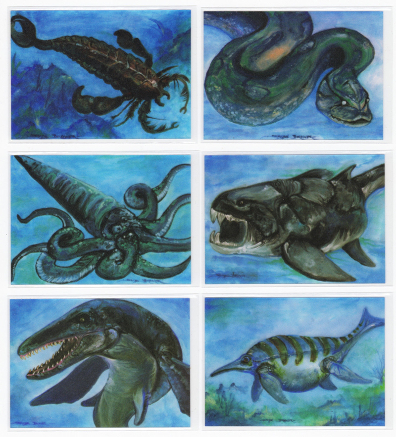 Dinosaur Galaxy Bluewater Sea-Thru ® cards