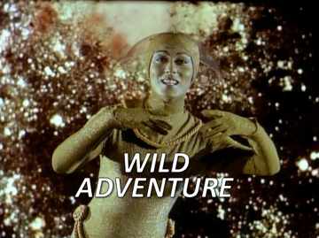 LIS 31 Wild Adventure