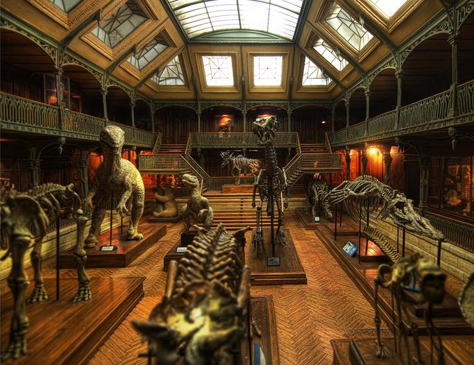 MiniMuseum