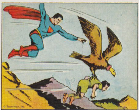 Superman #43